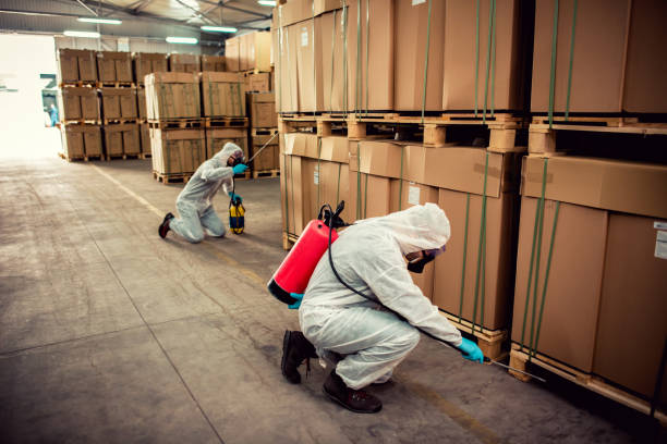 Best Local Pest Control Services  in Romeovle, IL