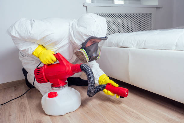 Best Pest Control for Homes  in Romeovle, IL