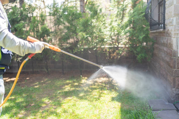 Best Emergency Pest Control  in Romeovle, IL